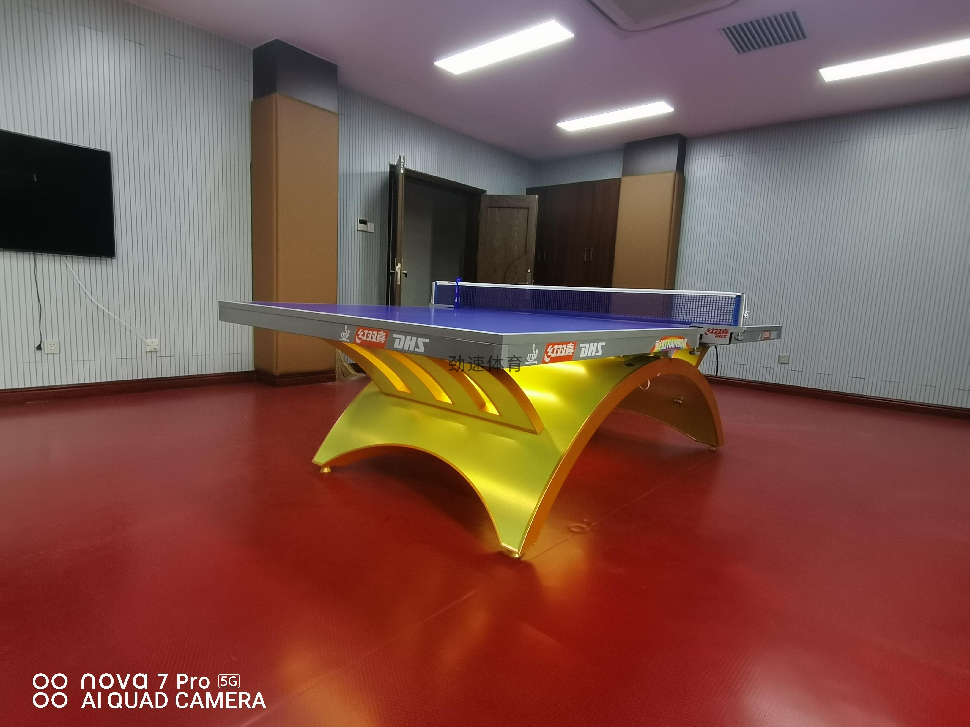 體育器材，紅雙喜乒乓球臺(tái)